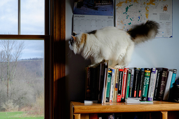 Balancing act