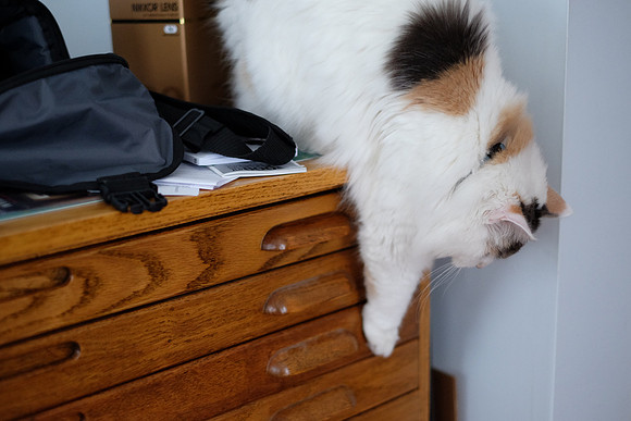 I want this drawer open