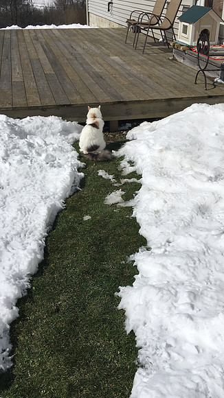 Waiting for spring