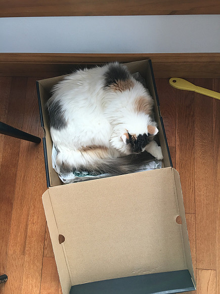 Love my new box!