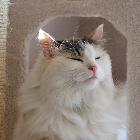 Something smells good - what's for dinner?