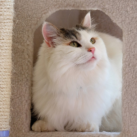 Is this my good side?