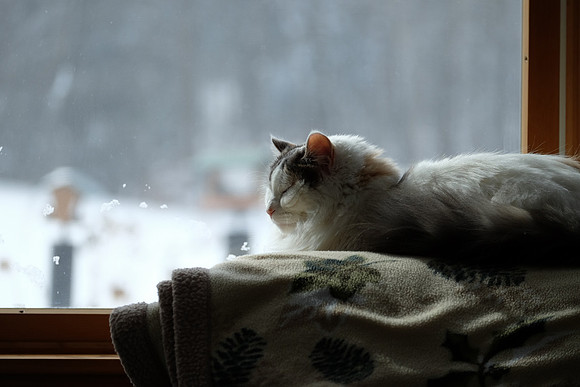 Glad to be inside