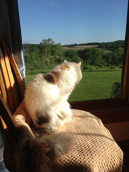 Gazing into the wild blue yonder
