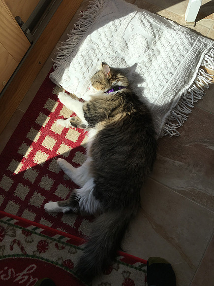 Thanks for the pillow