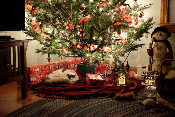Waiting for Santa