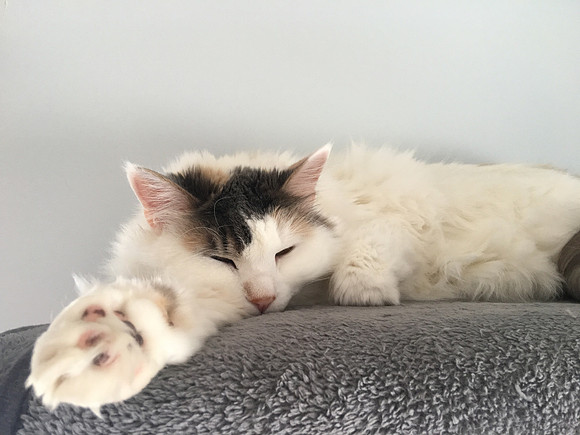 Give me five