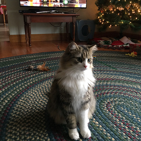 I promise I'll be good for Christmas