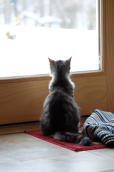 So many things to see out there