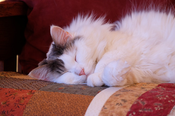 Now I lay me down to sleep
