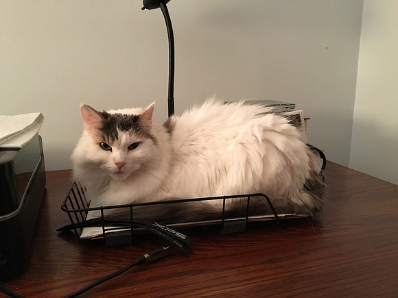 Where's my box? This basket isn't the same.
