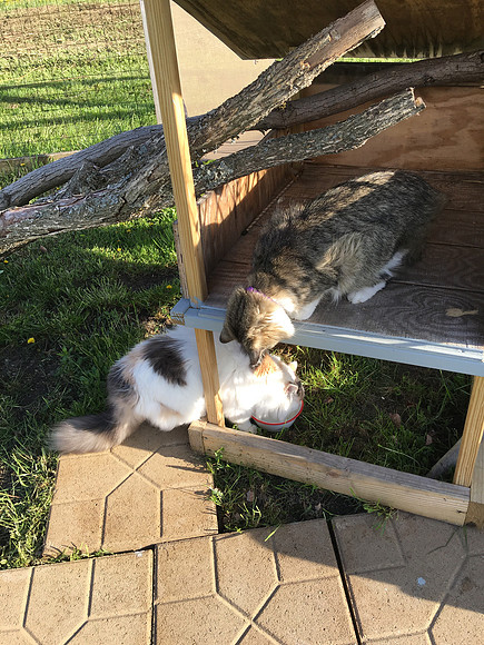 Hey! That's my bowl...
