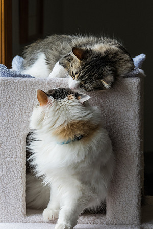 Friends?