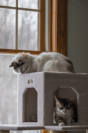 All right....I'll stay down here