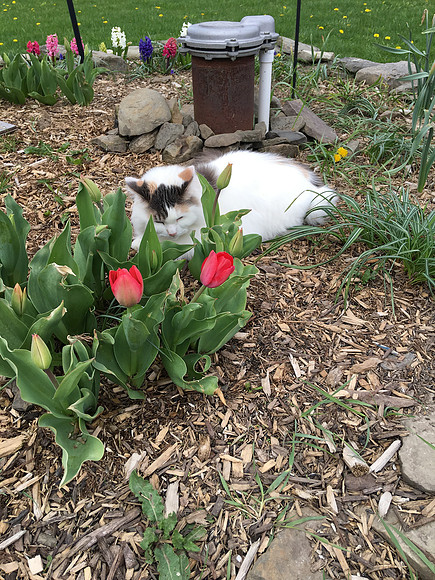 Stop and "smell the roses"