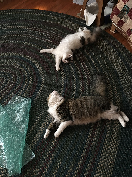 Back stretches