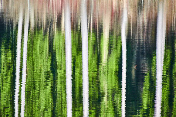Spring Pond Abstract, 4/20/2020