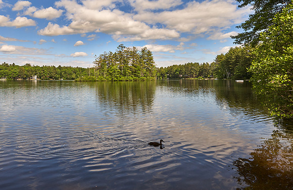 Lake near Limerick, Maine