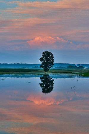 Fabius Farm Morning - 07/14/2017