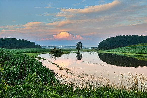 Fabius Farm Morning - 07/14/2017
