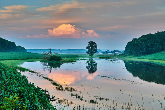 Fabius Farm Morning - 07/14/2017