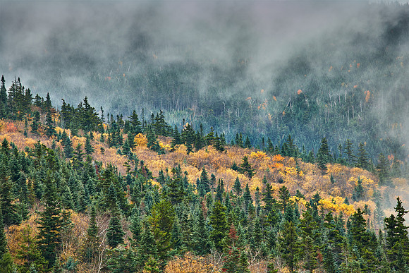 Autumn Fog on Whiteface