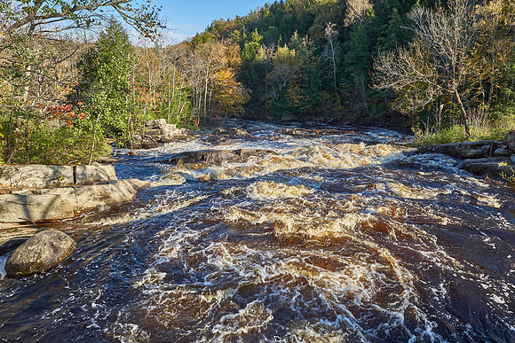Spruce Creek, Salisbury
