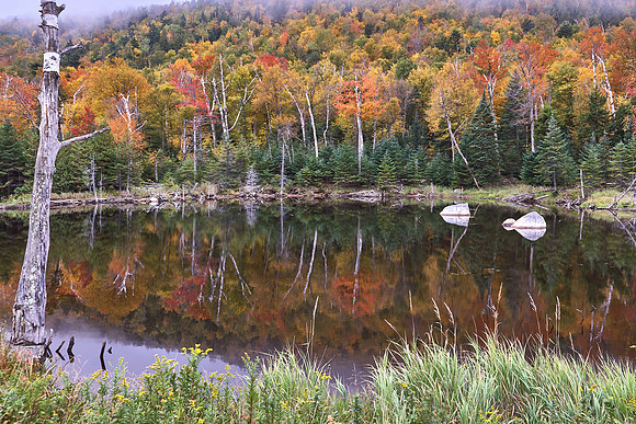 Autumn Pond on Whiteface