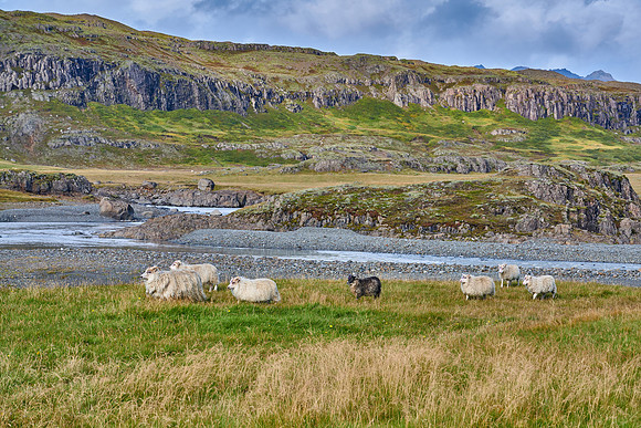East Fjords, 2019-09-15