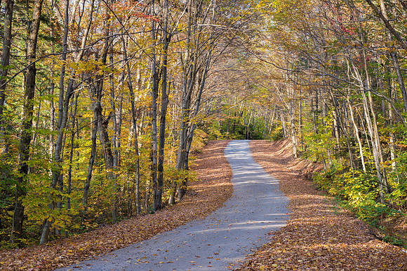 Moose River Recreation Area