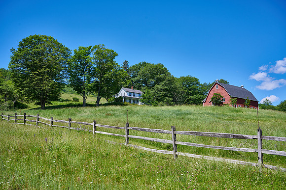 Farm near Beaverkill, 2021-06-24 (Z7)