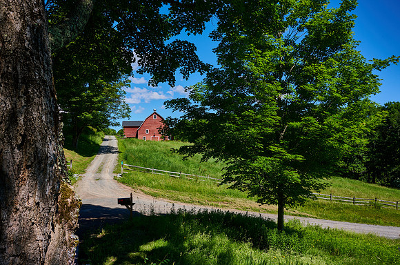 Farm near Beaverkill, 2021-06-24 (Z7)