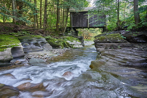 Dry Brook, 2021-07-22 (Z7)