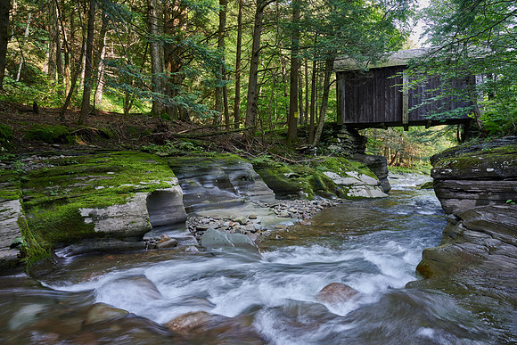 Dry Brook, 2021-07-22 (Z7)