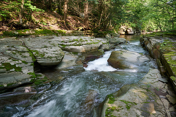 Dry Brook, 2021-07-22 (Z7)