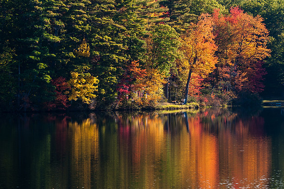 Lake near Limerick, Maine