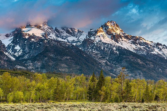 Grand Teton National Park, May