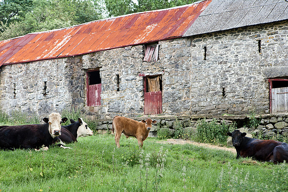 Middletown, Wales