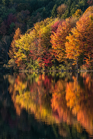 Eaton Brook 10/14/2016