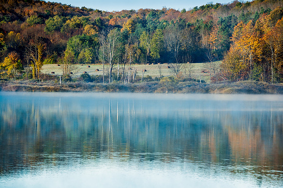 Eaton Brook Morning 08