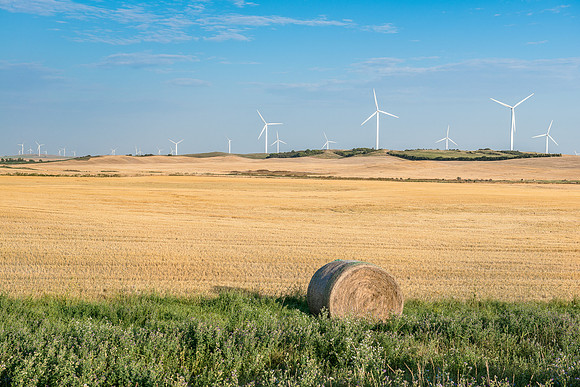 Wind Mills, North Dakota