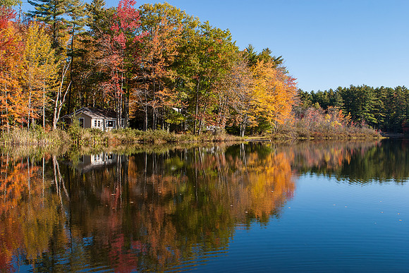 Lake near Limerick, Maine