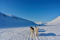 Svalbard 2022 (Adventure)