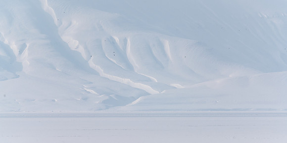 Muted Arctic Landscape at midday, Isfjorden, 13:04