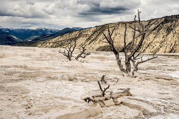 Mammoth Hot Springs, Yellowstone National Park