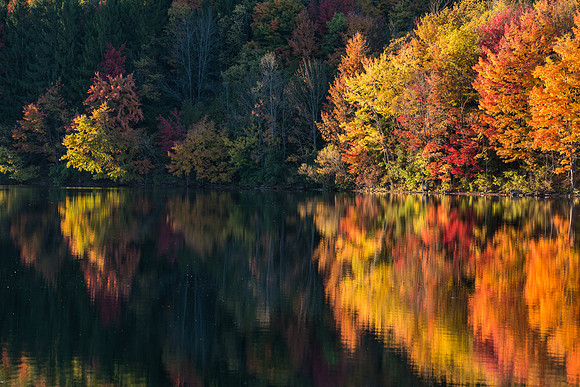 Eaton Brook 10/14/2016