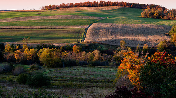 Holmes' Farm