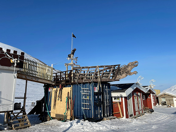 Green Dog, Svalbard!