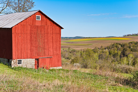 Neighbor's Barn, Spring 2013