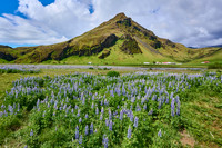Iceland, 2025